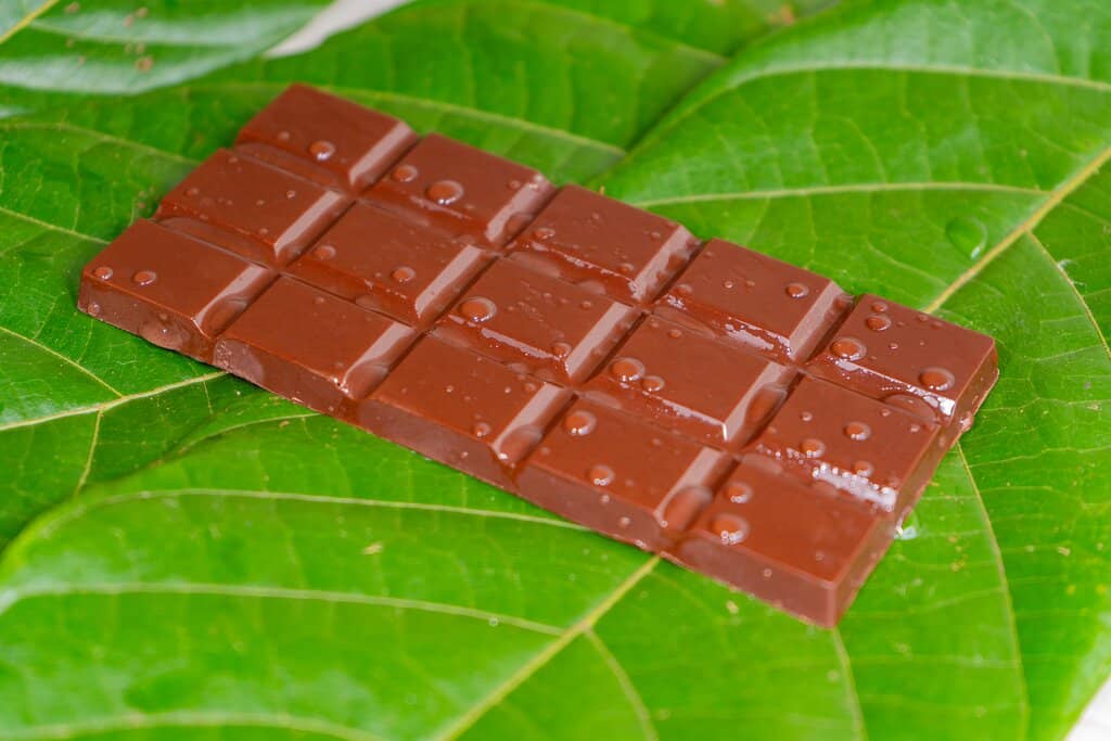 Chocolate & Coffee Immersion
