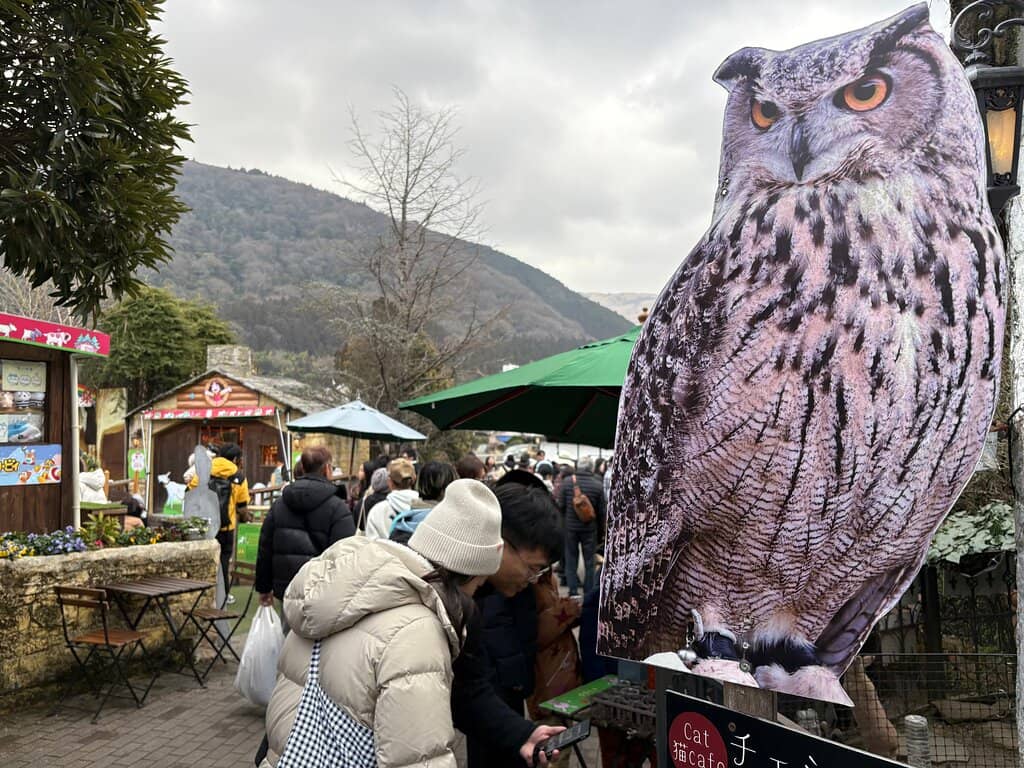 Owl Exhibition Hall