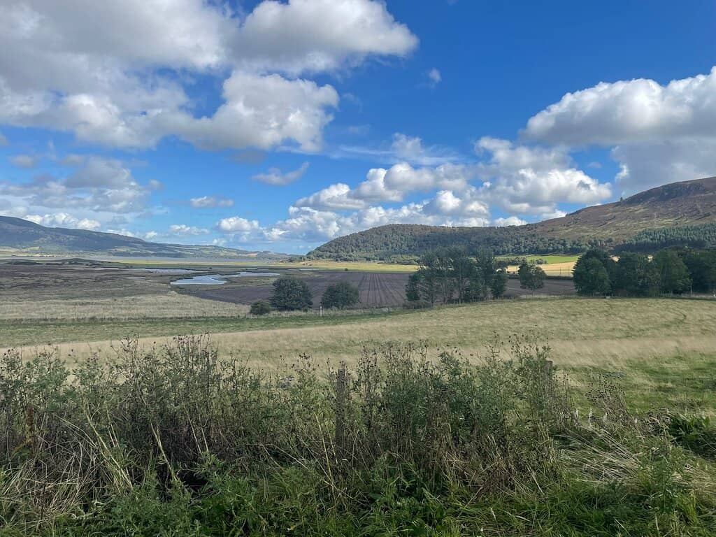 Birdwatching Hotspots