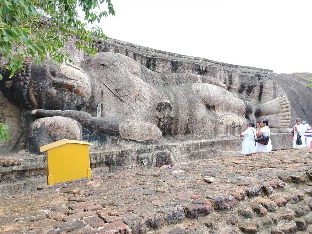 Sacred Bodhi Tree
