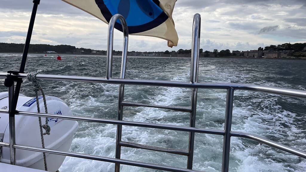 Tweed Estuary Boat Trip