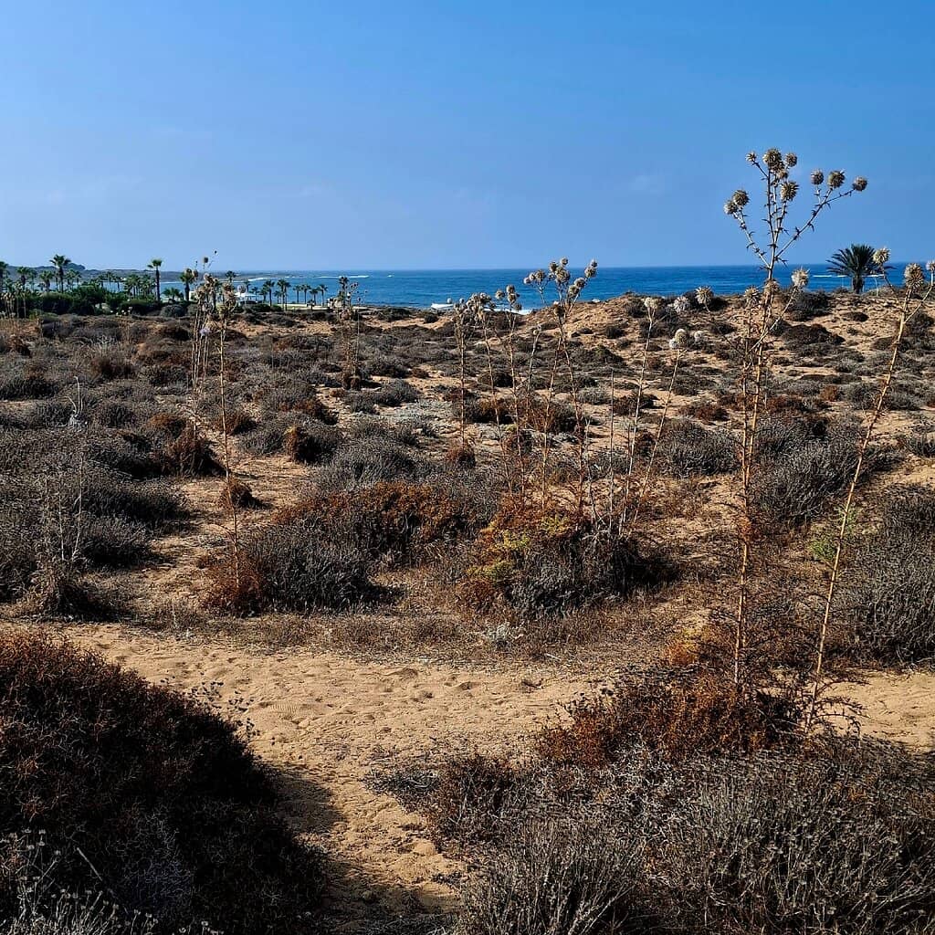 Straits of Gibraltar Views