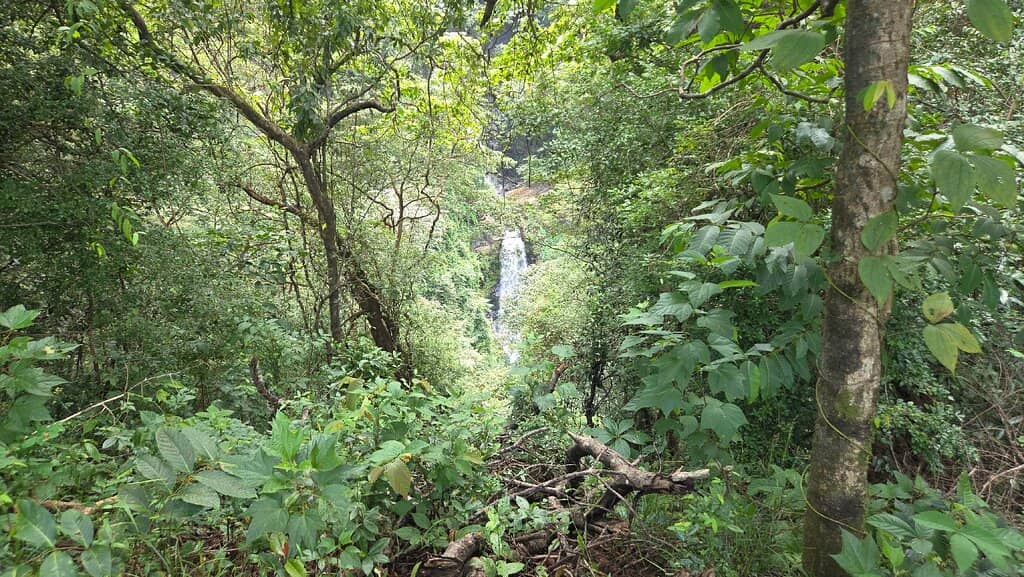 Mainapi Waterfall