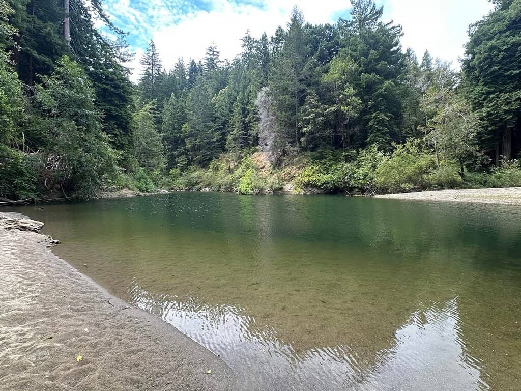 Old Hendy Grove Trail