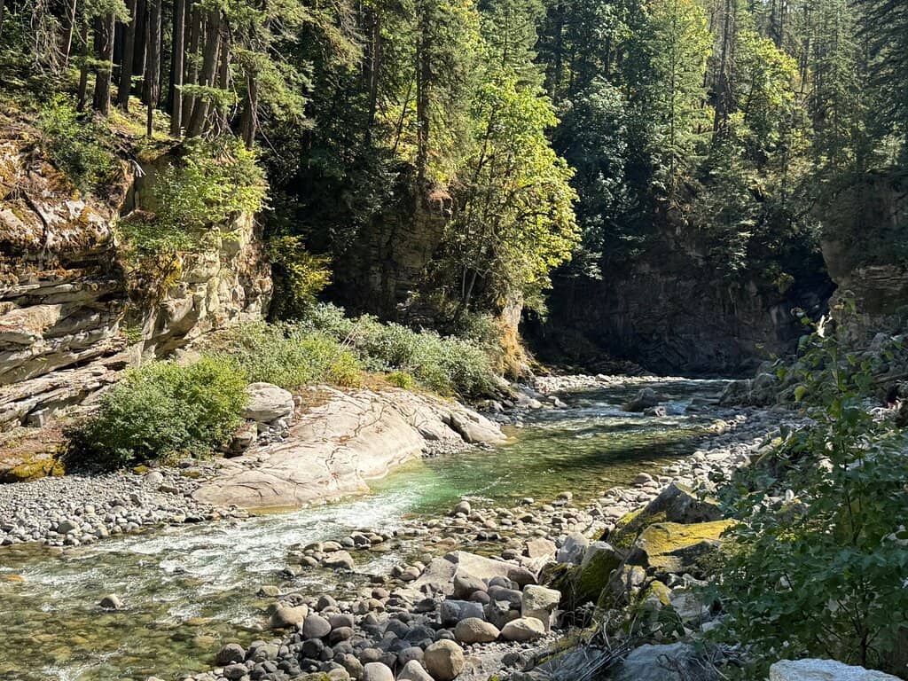 Family-Friendly Walk