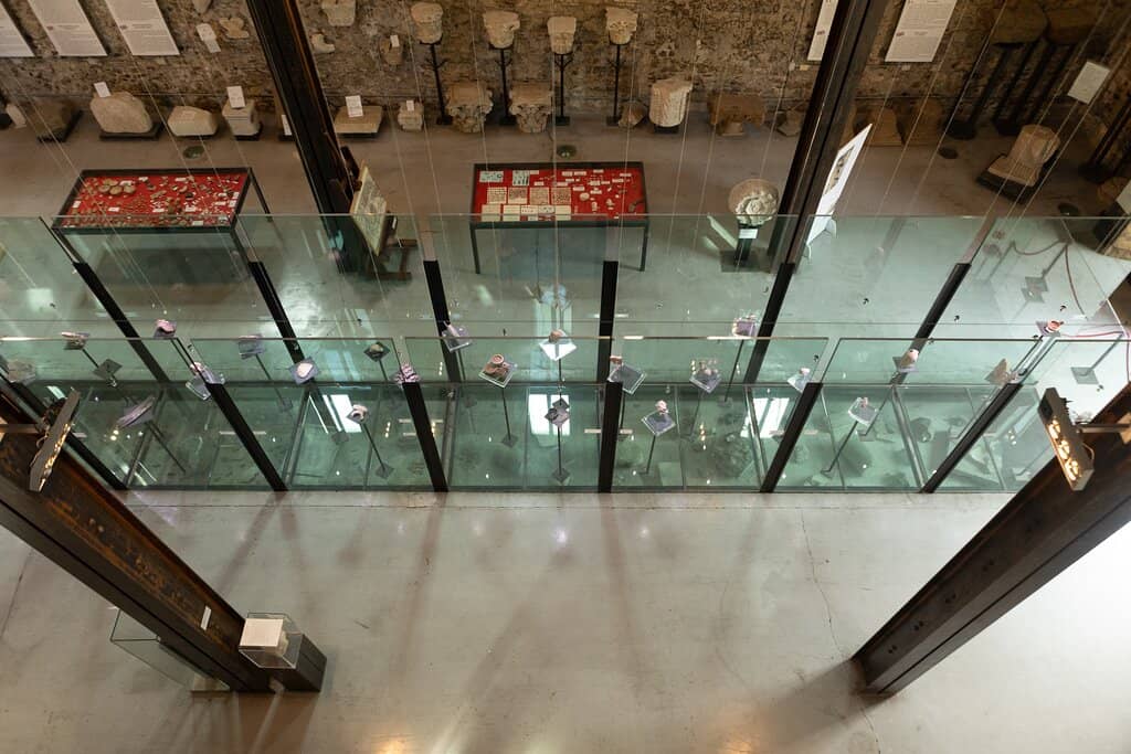 Contemporary Art Exhibitions