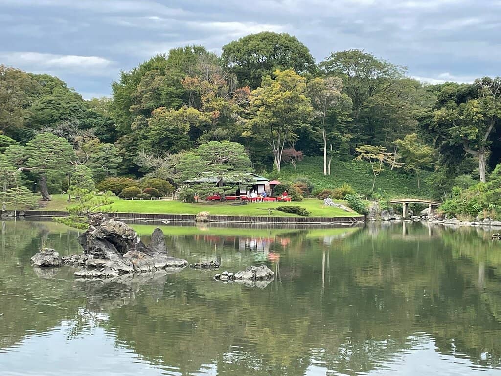 Weeping Cherry Blossoms