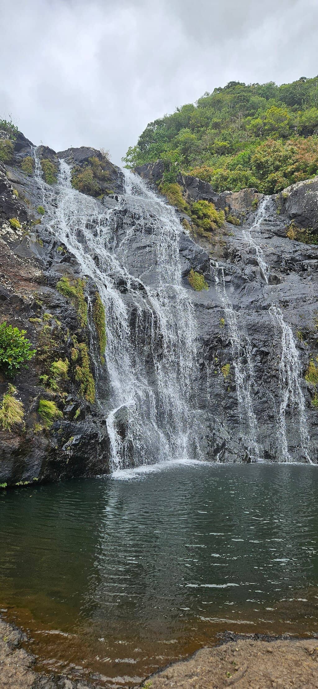 Vertical photo
