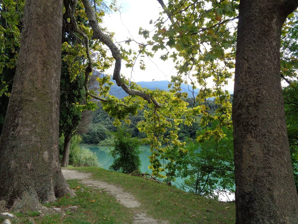 Terrace Restaurant Views