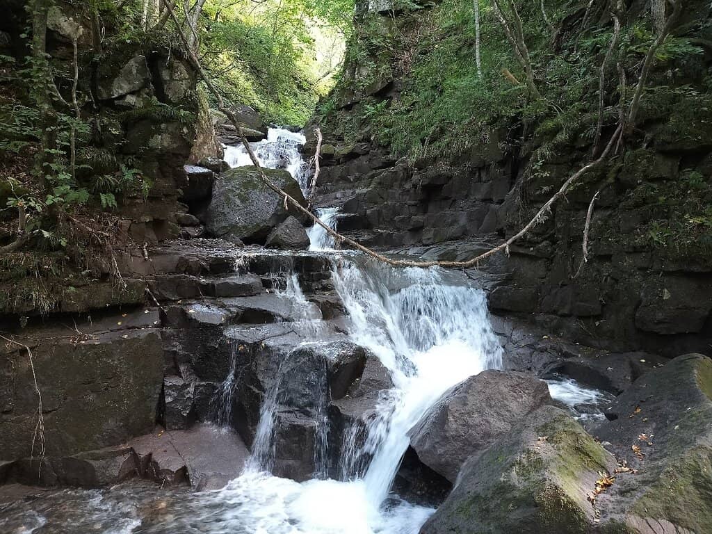 Vertical photo