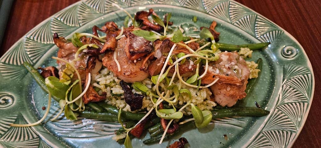 Cozy Ambiance & Patio