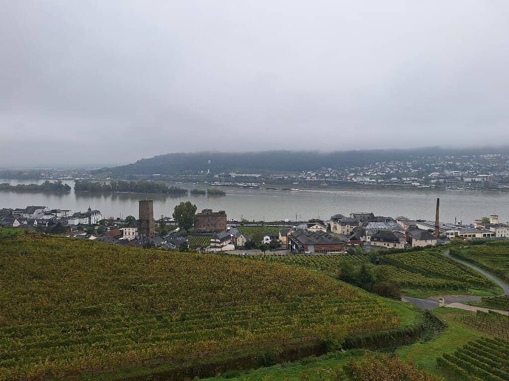 Rhine River Panorama