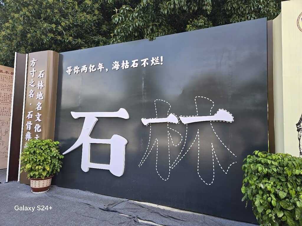 The Great Stone Forest