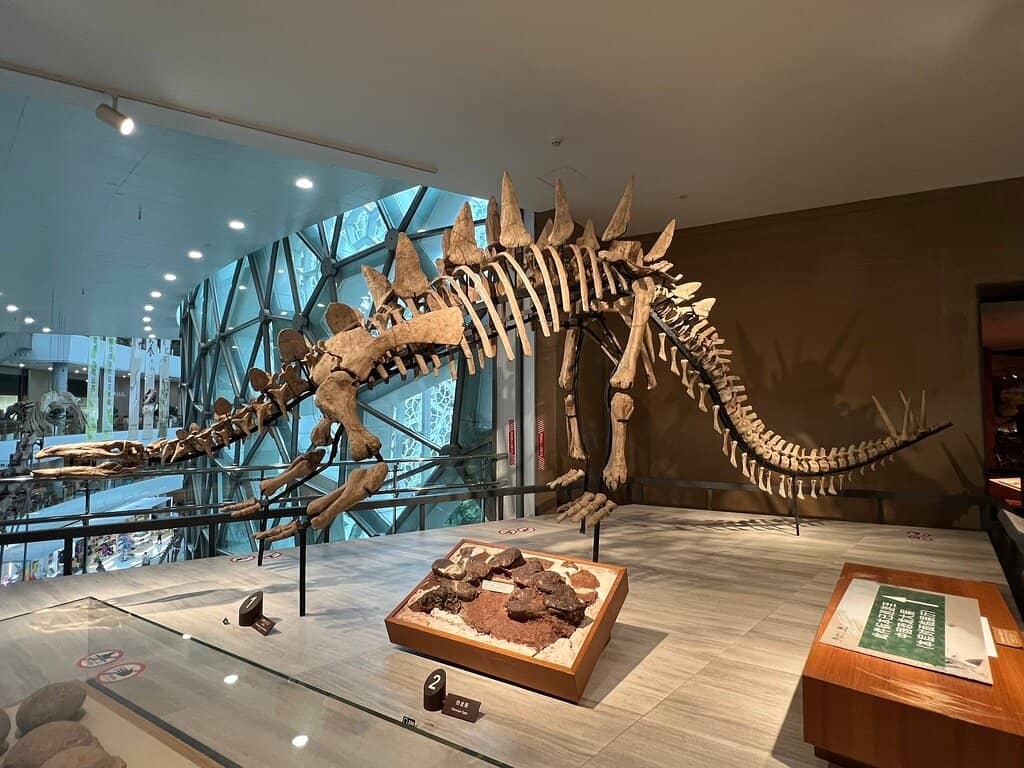 Gemstone and Mineral Collection