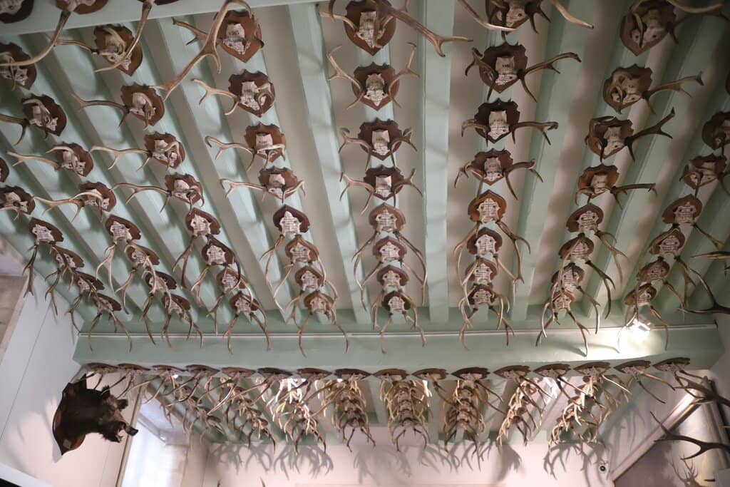 Costume Collection