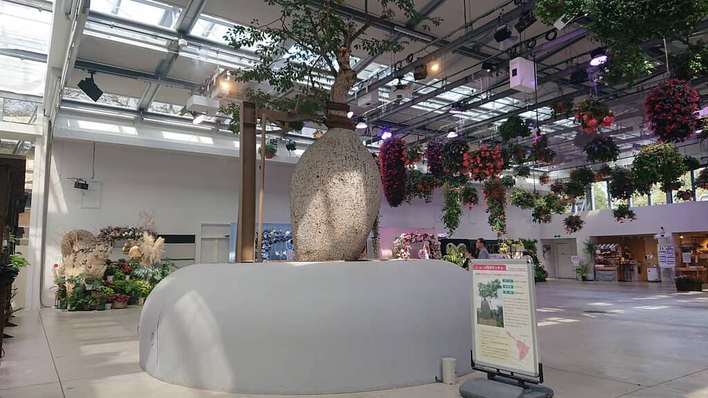 Starbucks in a Greenhouse
