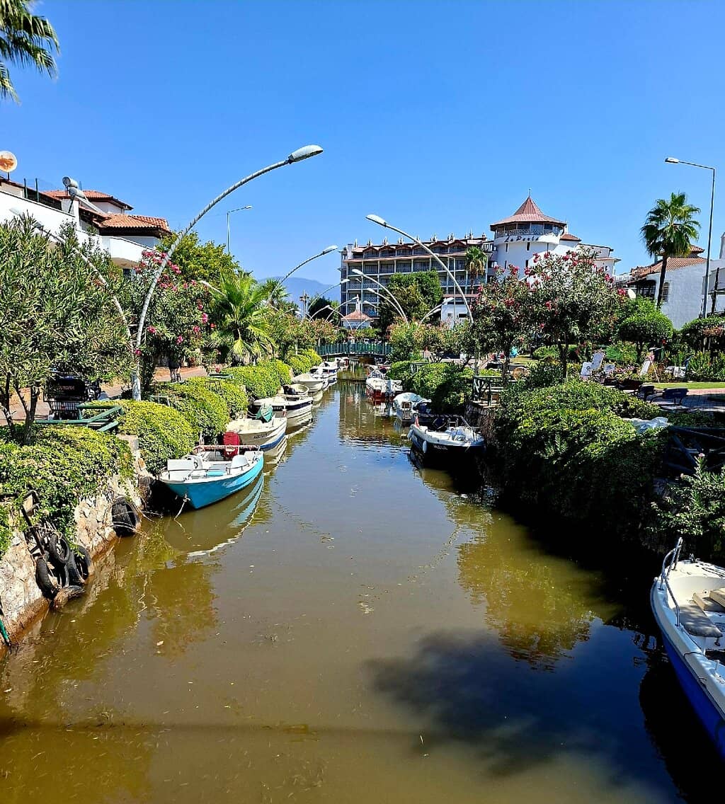 Vibrant Beachfront Promenade