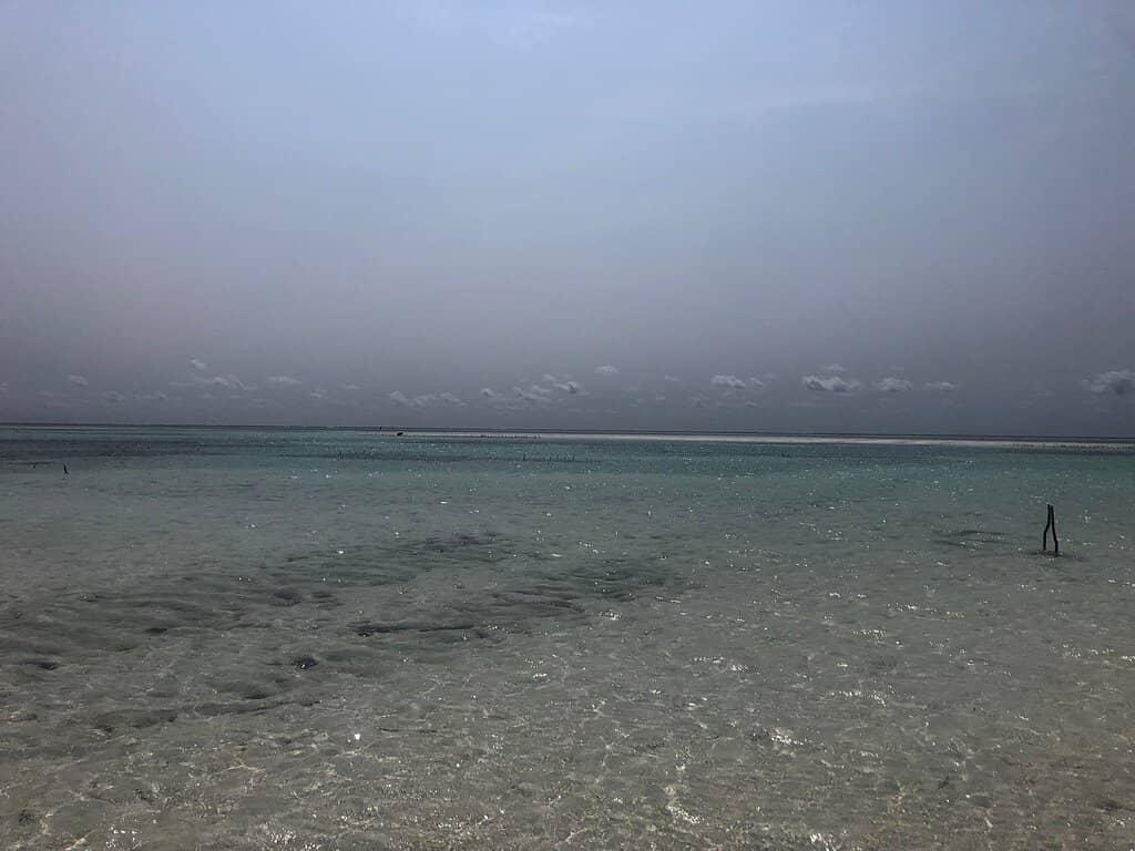 The Pontile