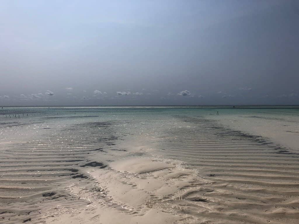 Turquoise Waters