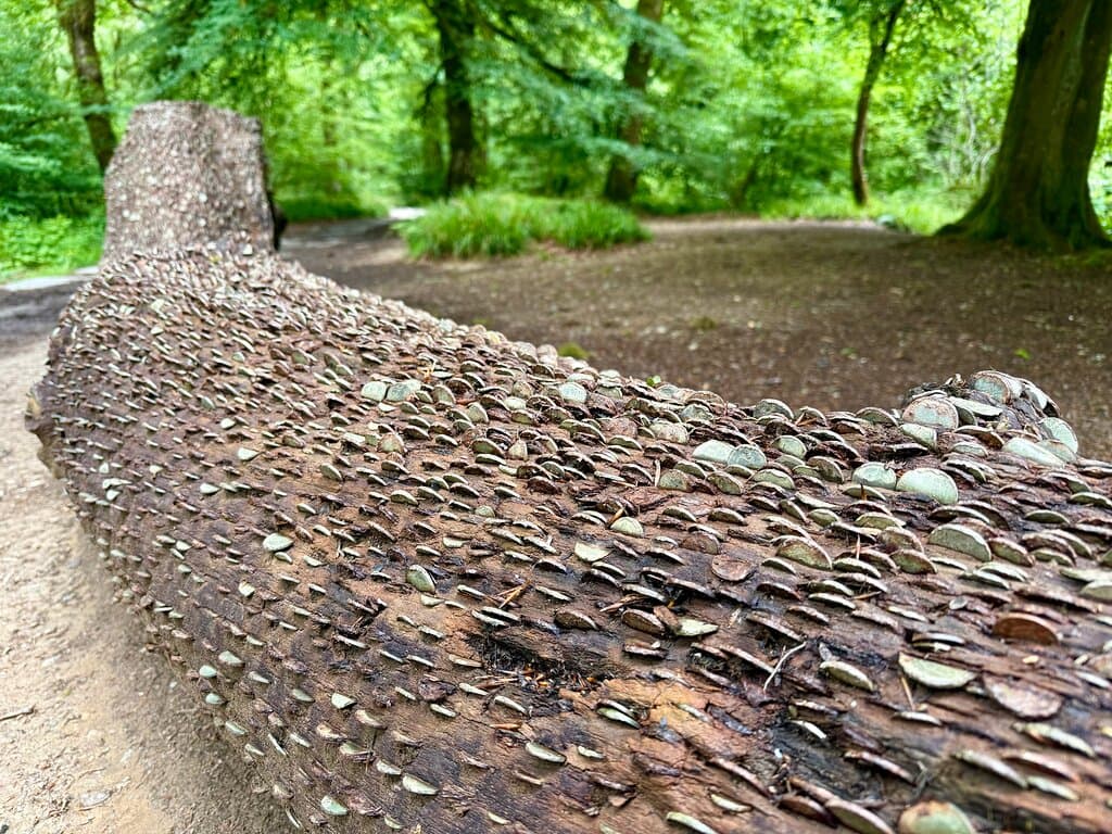 This ‘money tree’ is a curious site along the circular Tarr Steps Walking Trail in the Exmoor National Park.
