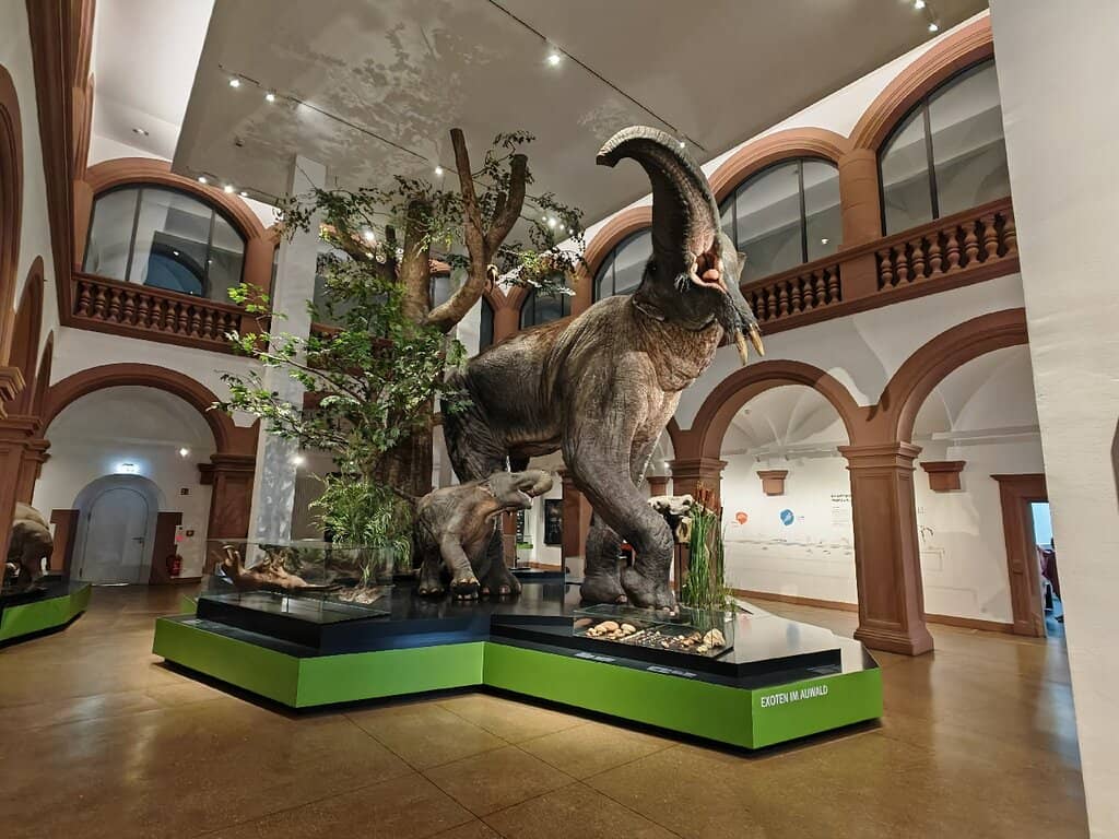 Immaculate Taxidermy Collection