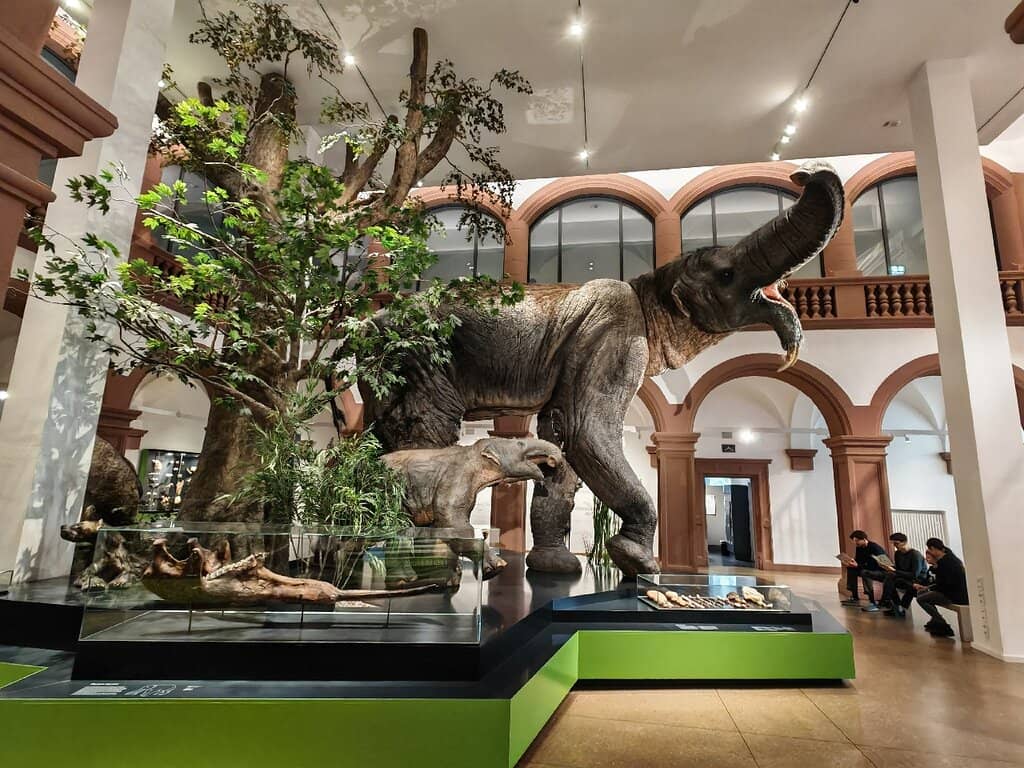 Interactive Exhibits for Kids