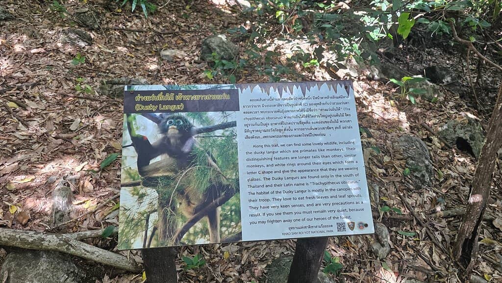 The Cave's Natural Beauty