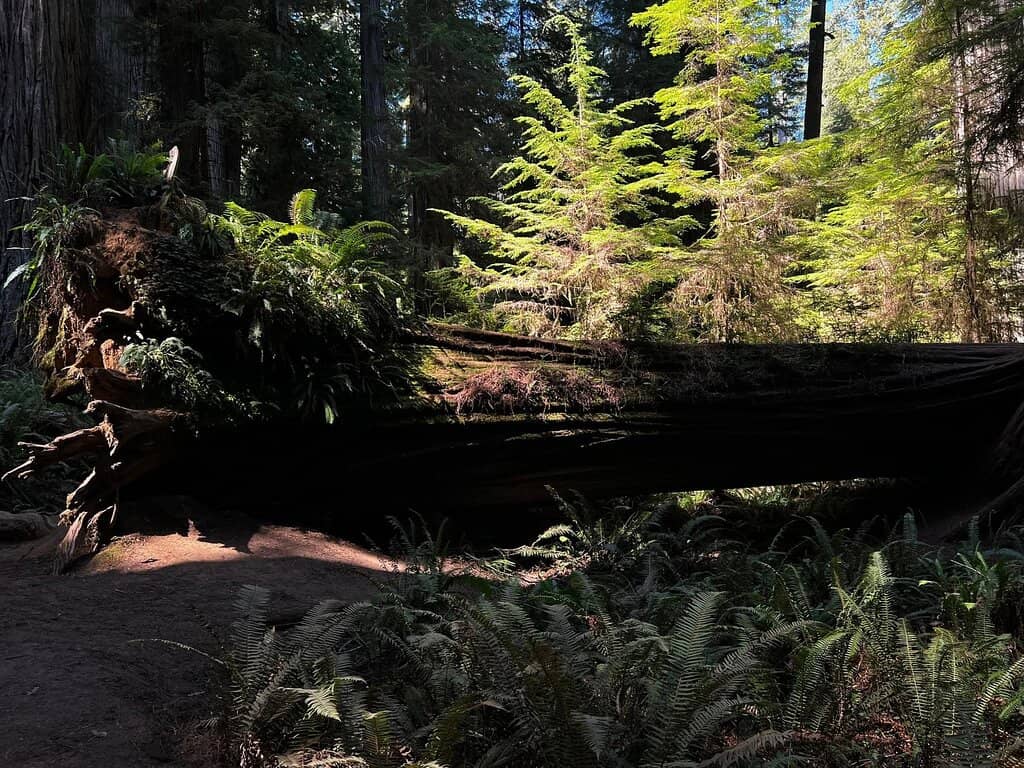 Vertical photo