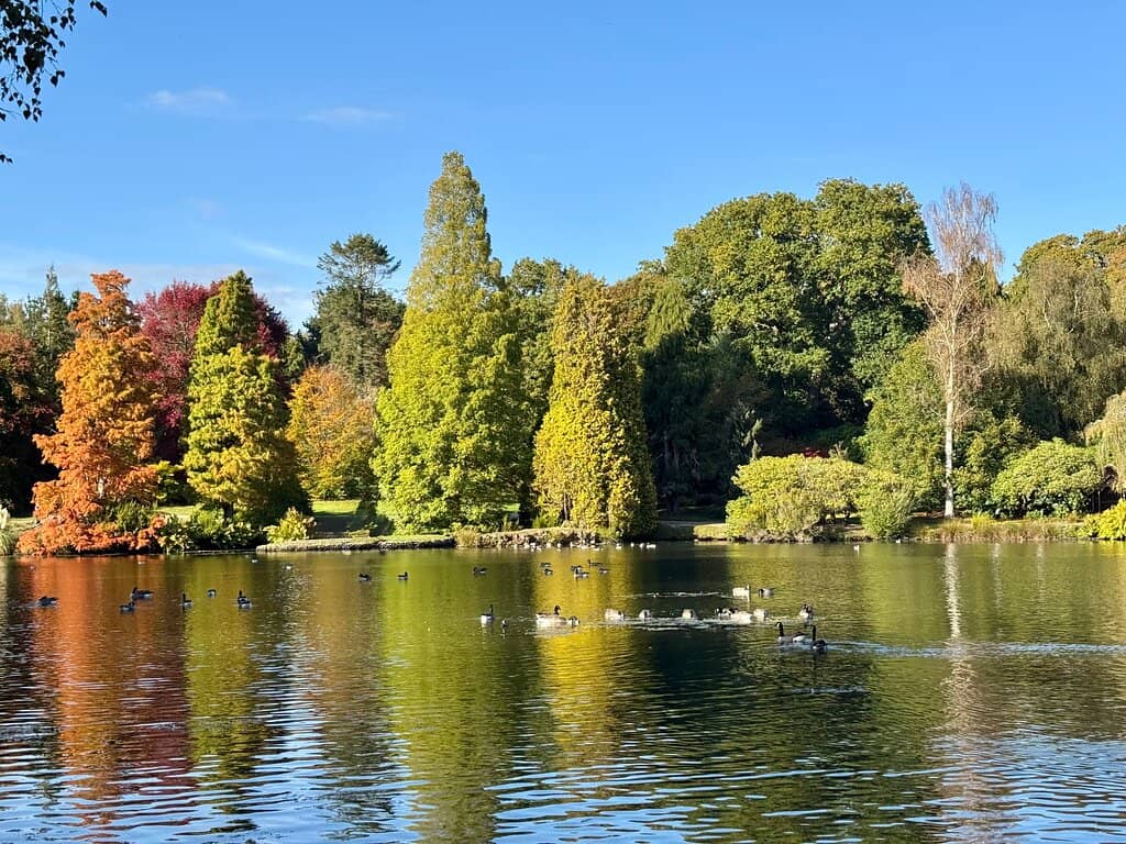 Autumn Spectacle