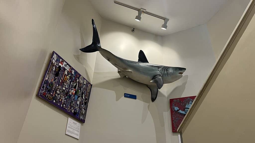 Nature Trails & Marsh