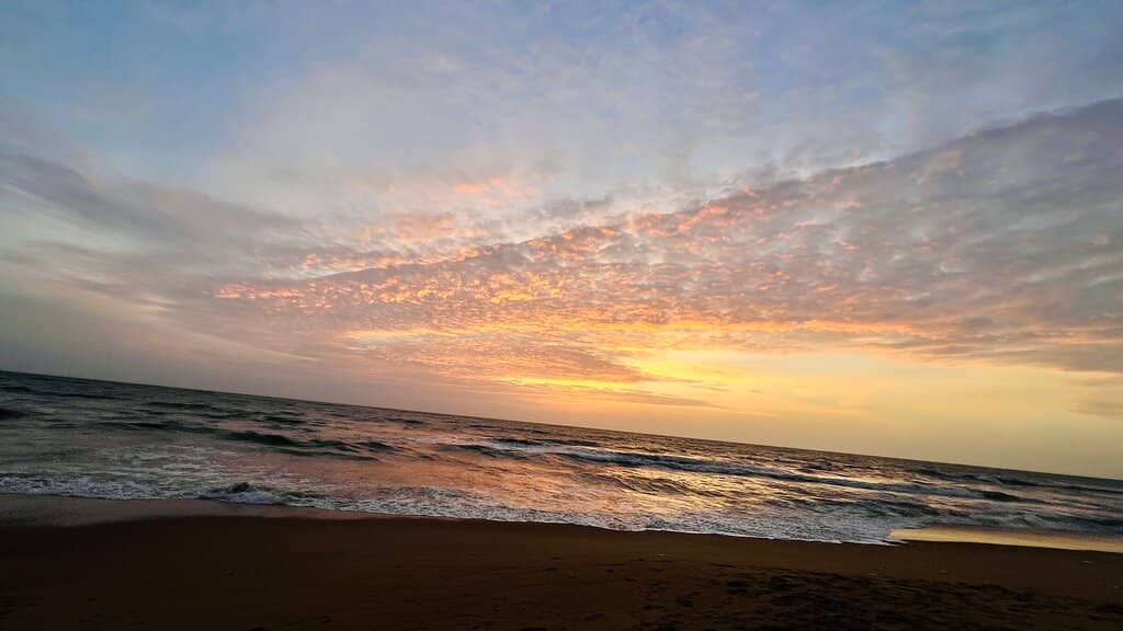 Seafood Dining Delights