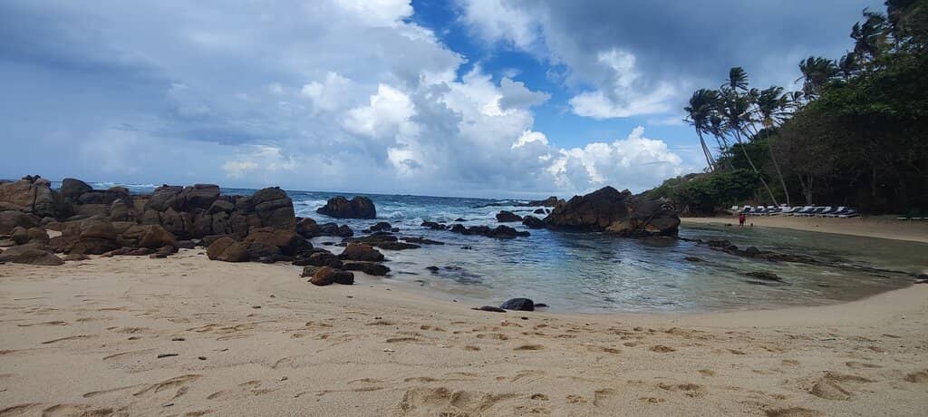 Picturesque Cove