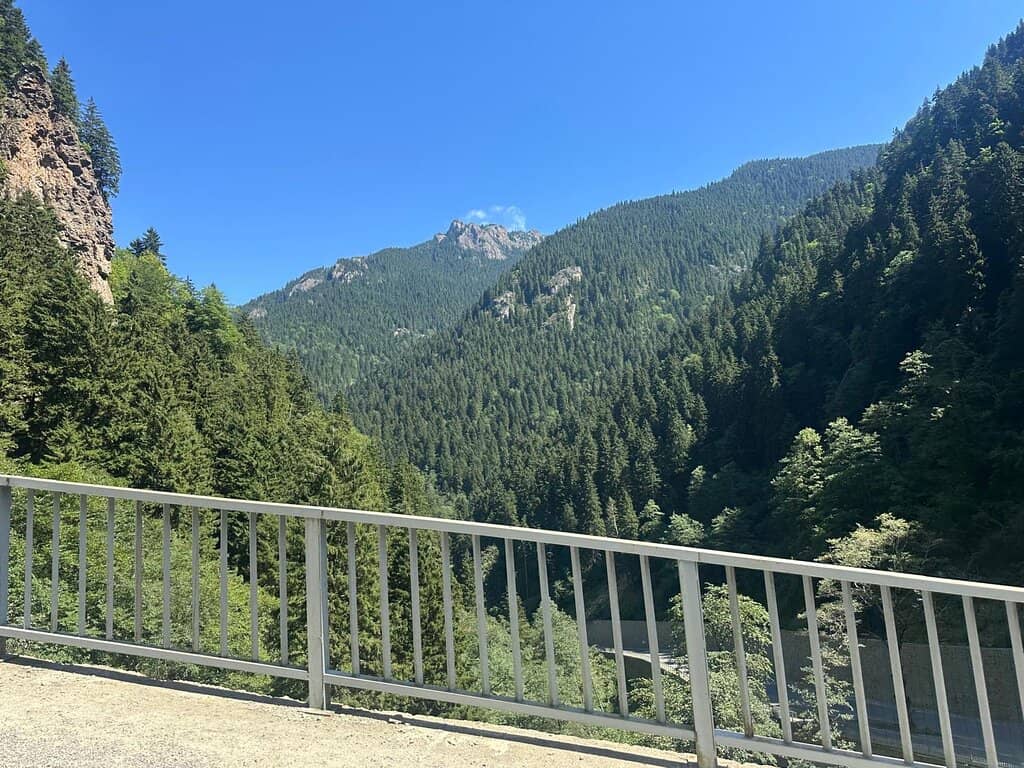Scenic Drive