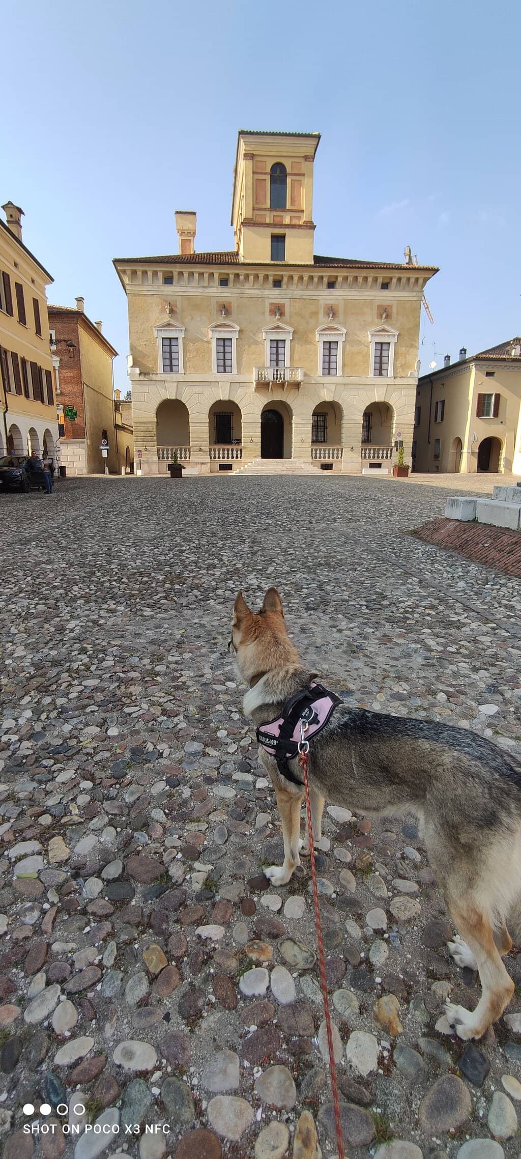 Synagogue and Jewish Museum