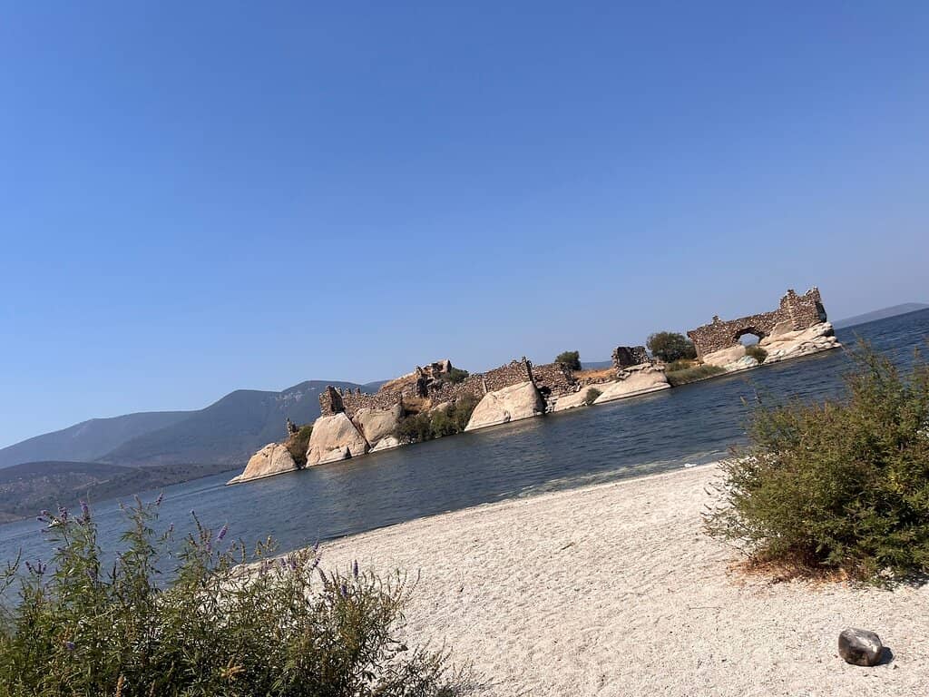 Vertical photo