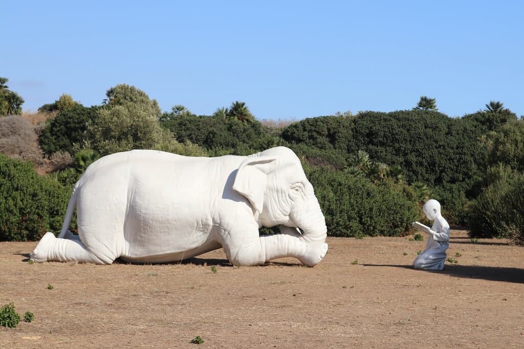 3. "Danger of Extinction" Selinunte Archaeological Park, Selinunte, Sicily (September 2025)