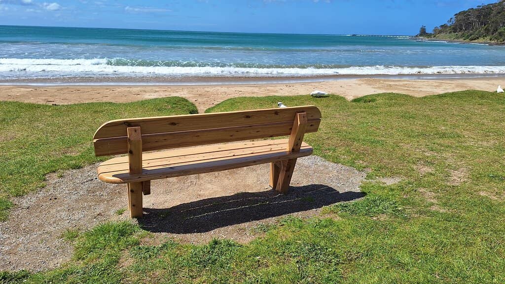 Native Wildlife Encounters