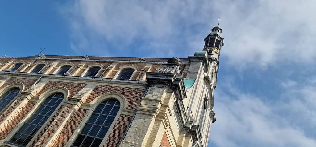 Evening Illumination