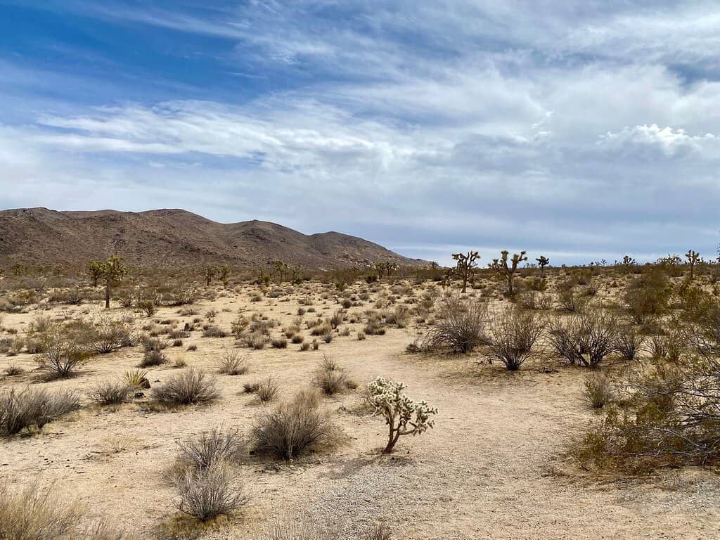Boulder Field Exploration
