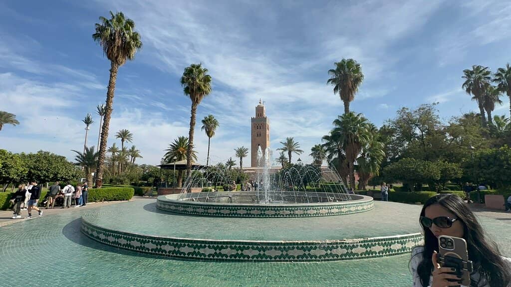 Palm Tree Lined Pathways