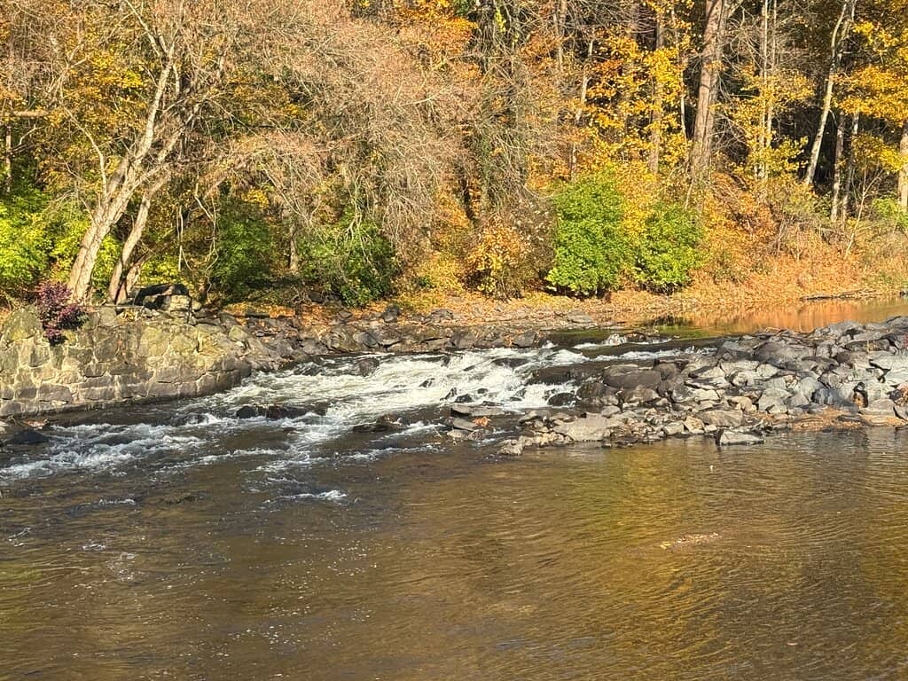 Historic Stone Walls