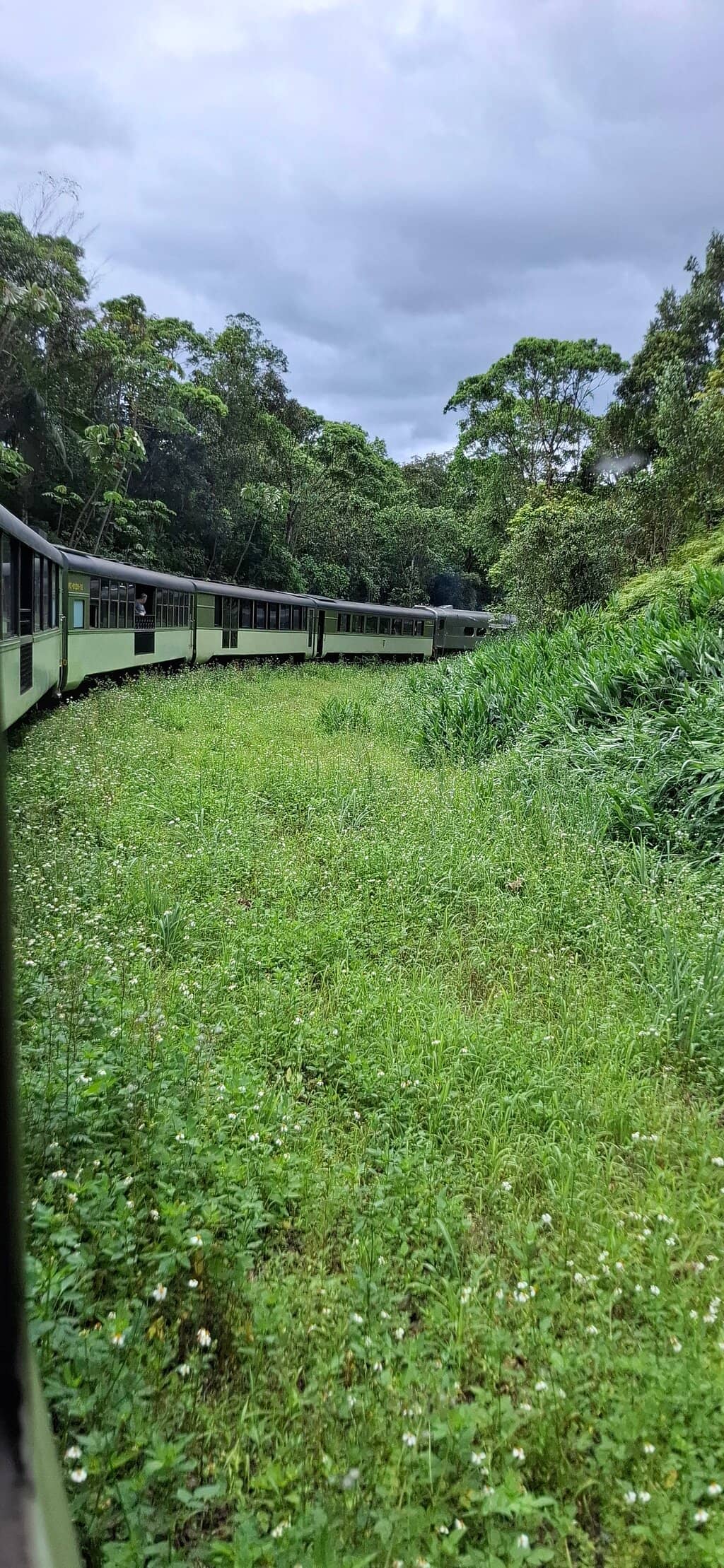 Luxury Carriage Experience