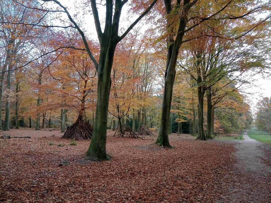 The Outstanding Walled Garden