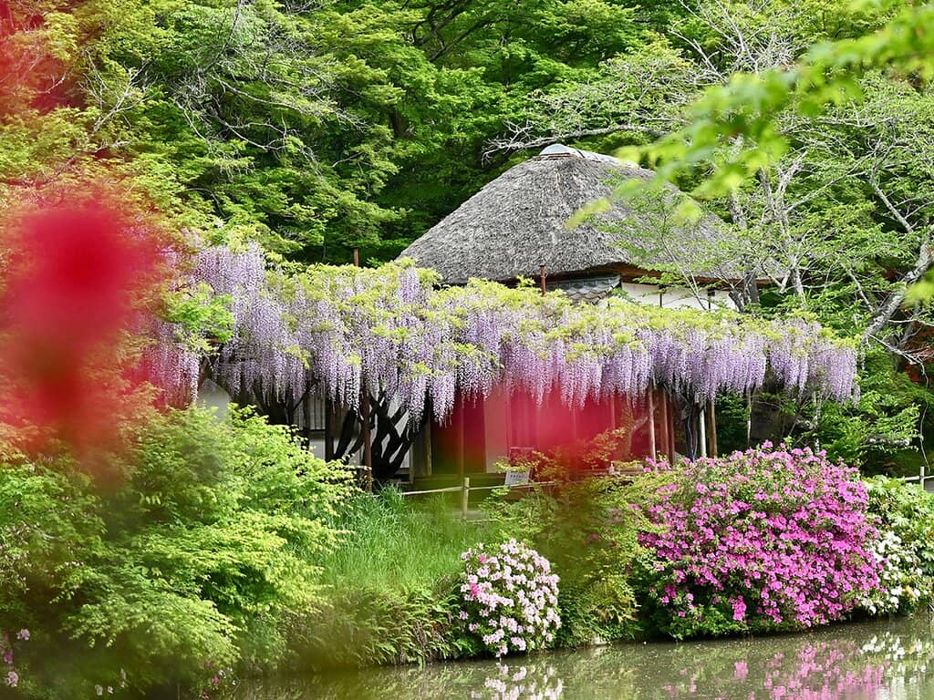 teamLab: A Forest Where Gods Live