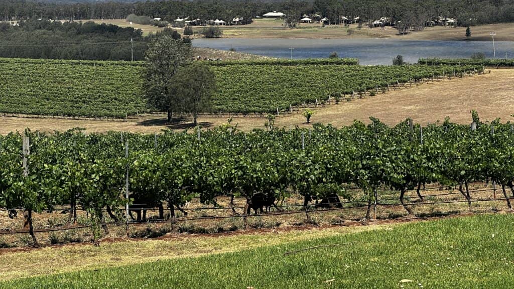 Chardonnay Discovery Collection