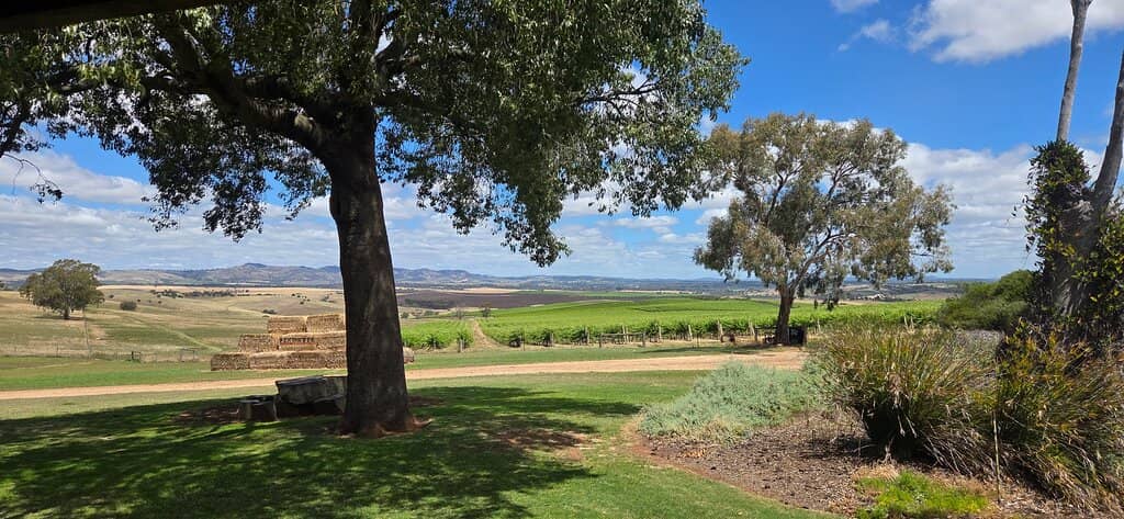 Stunning Outdoor Setting