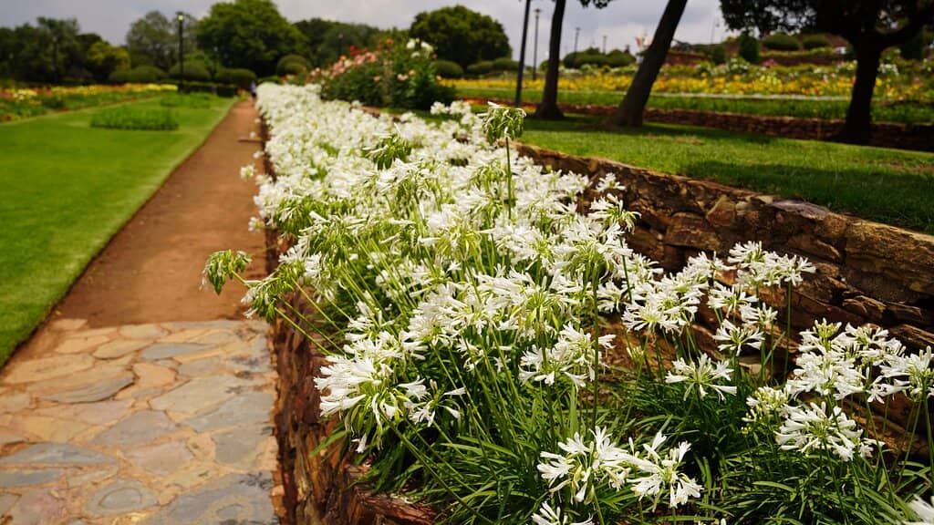 Spacious Gardens