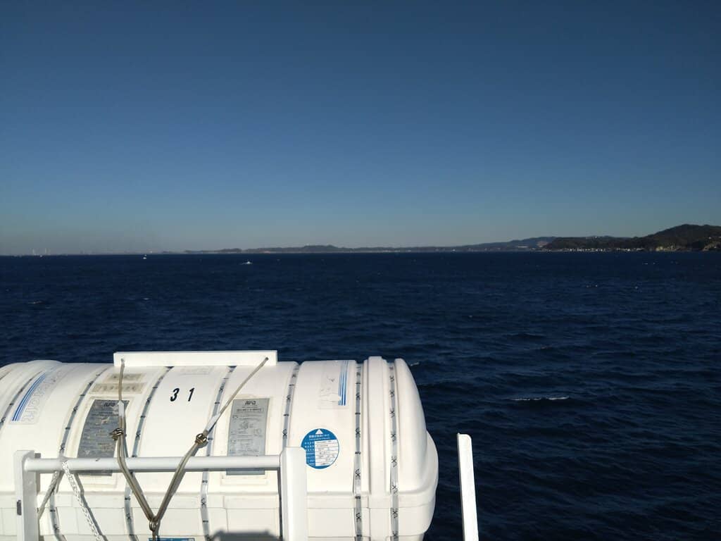 Dog-Friendly Voyage