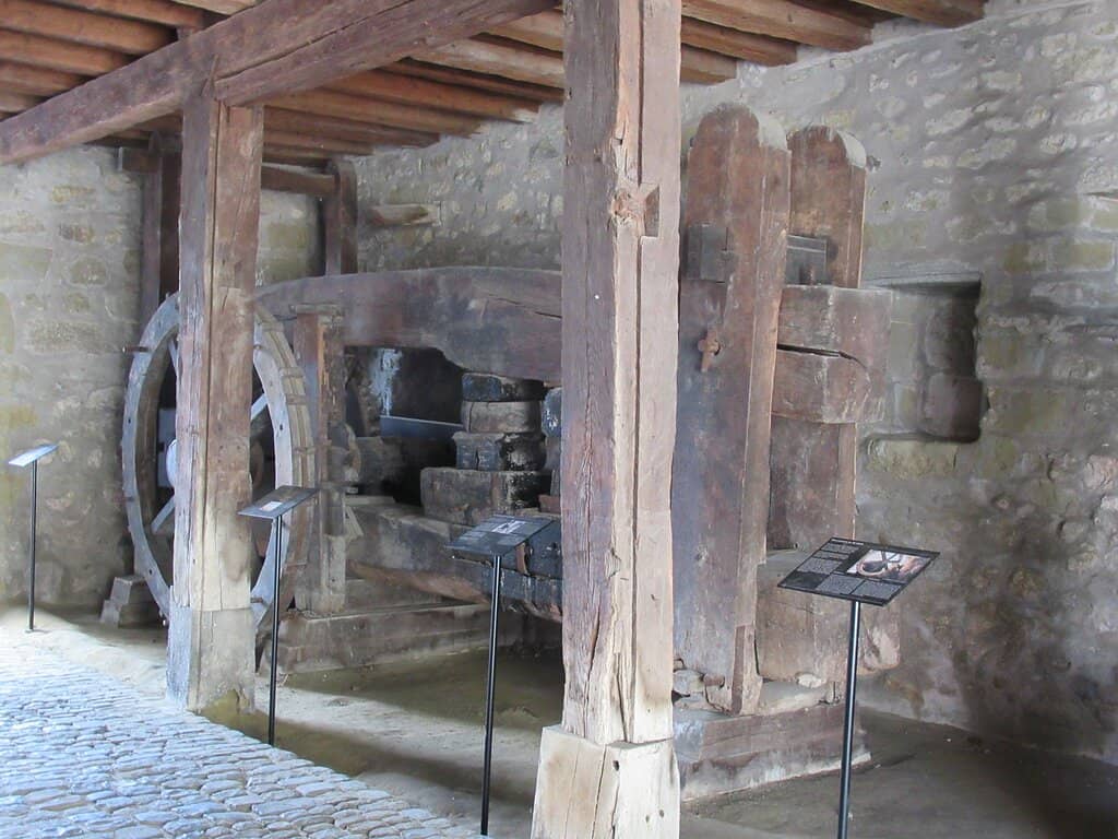 The Frog's Backstory