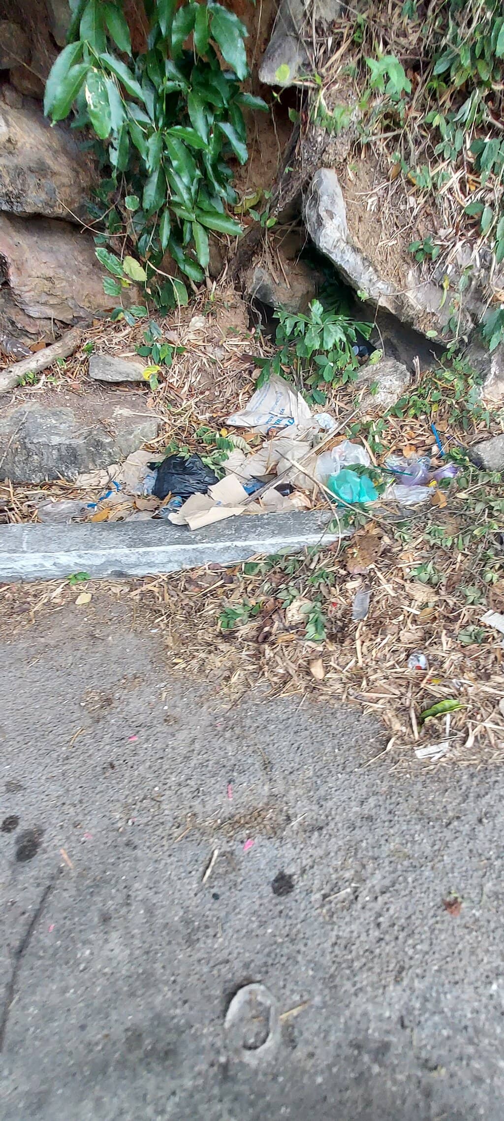 Monkey Trail to Pai Plong Beach